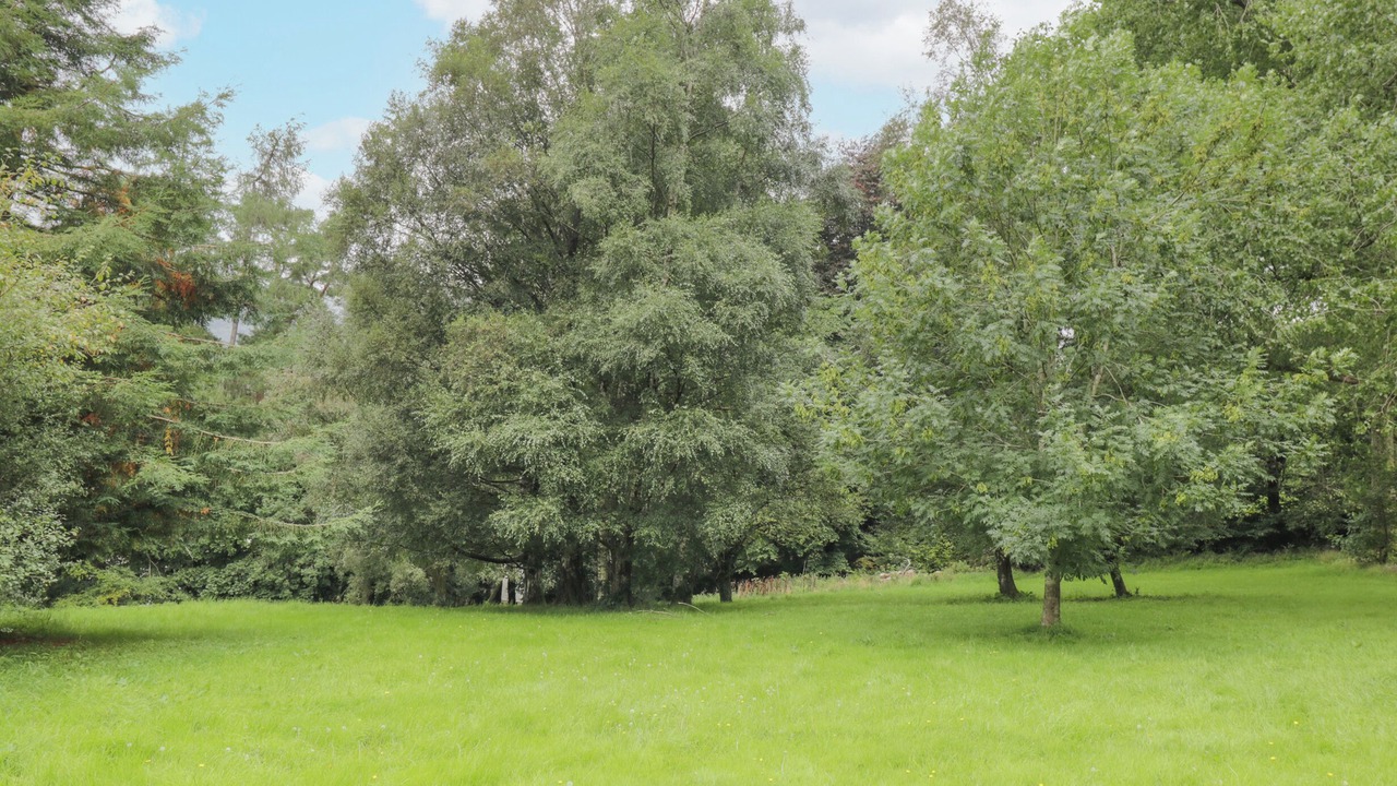 Photo of Others in Ambleside