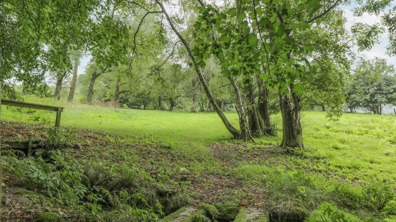 Photo of Others in Ambleside
