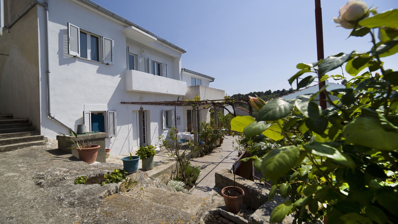 Photo of Outdoor in Veliki Drvenik