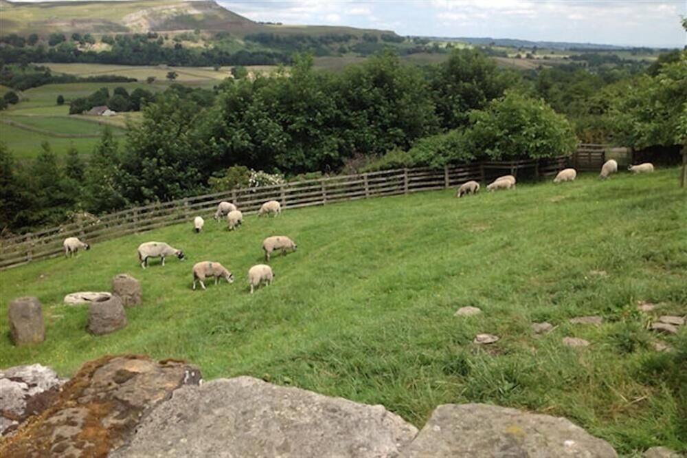 Photo of Outdoor in Thornton Rust