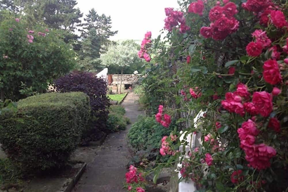 Photo of Outdoor in Thornton Rust