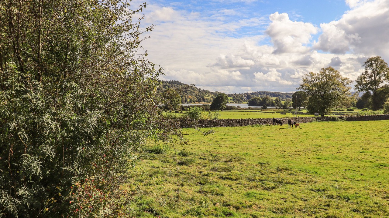 Photo of Others in Hawkshead