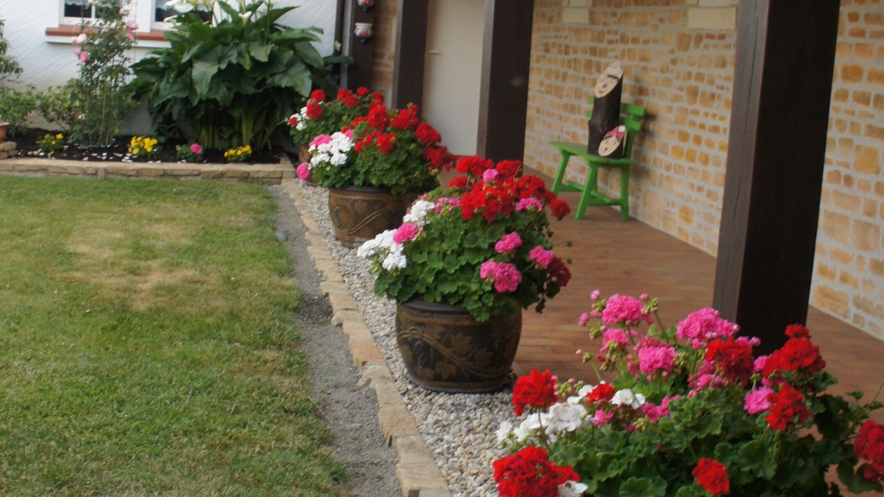 Photo of Outdoor in Machecoul