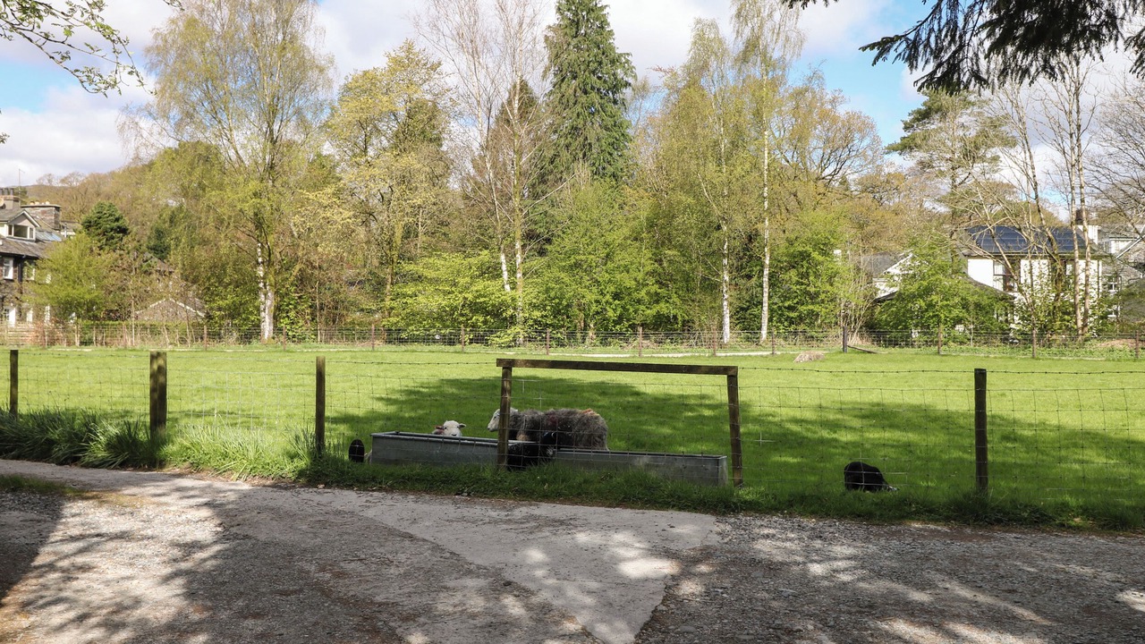 Photo of Others in Grasmere