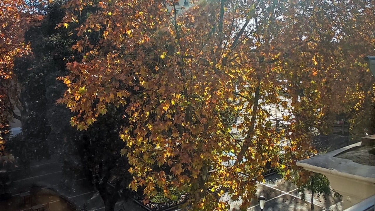 Photo of Bedroom in Faubourg