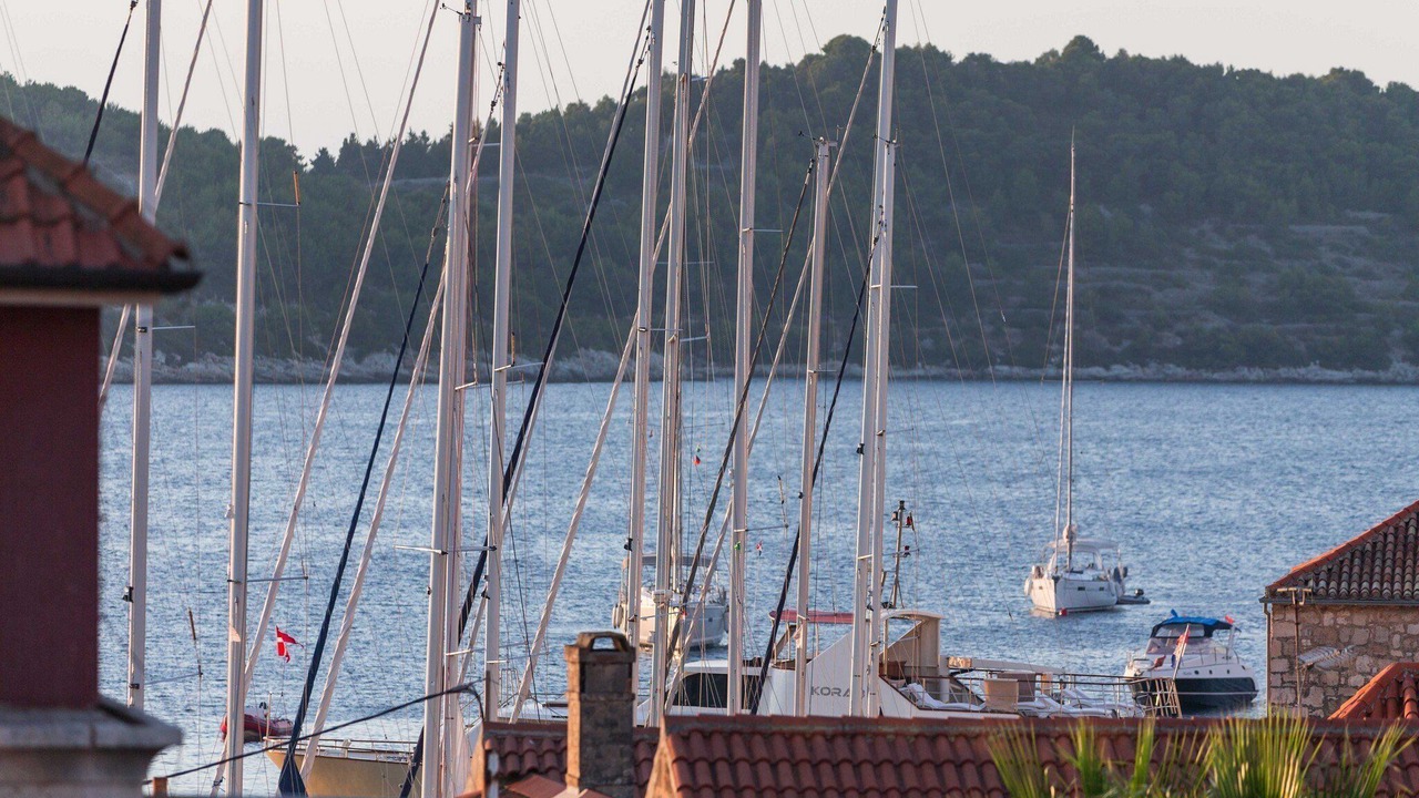 Photo of Others in Vis