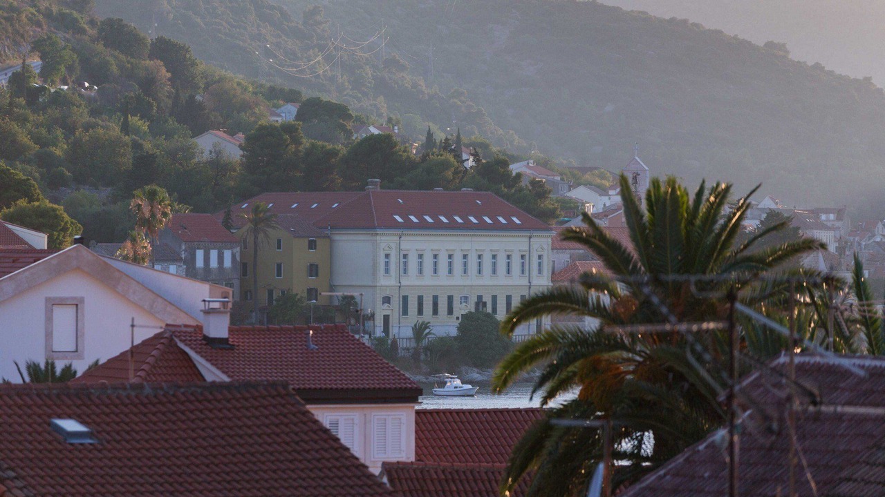 Photo of Others in Vis