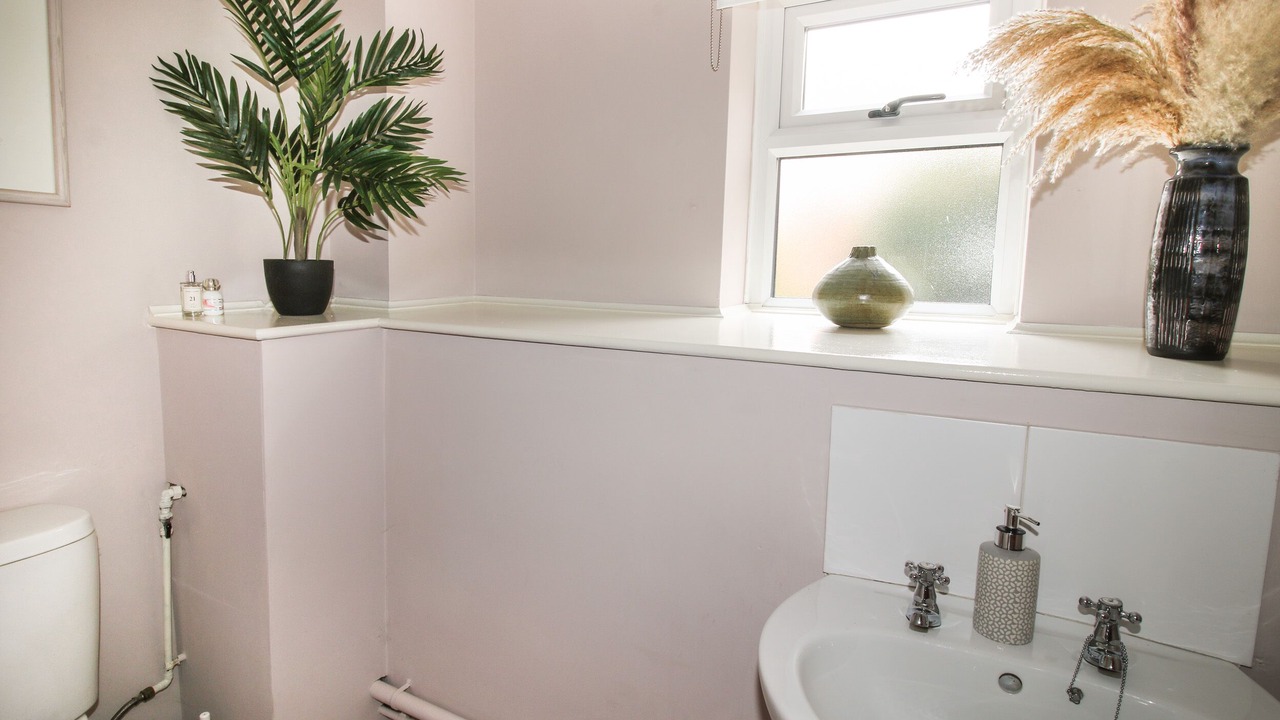 Photo of Others in Bishops Castle