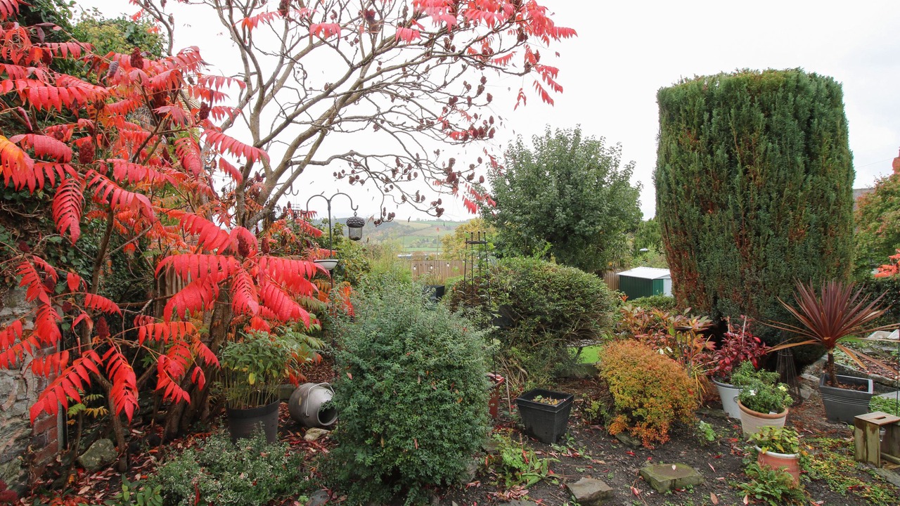 Photo of Others in Bishops Castle