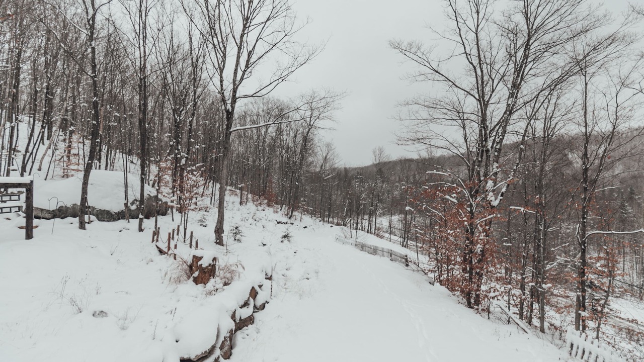 Photo of Others in Wentworth-Nord
