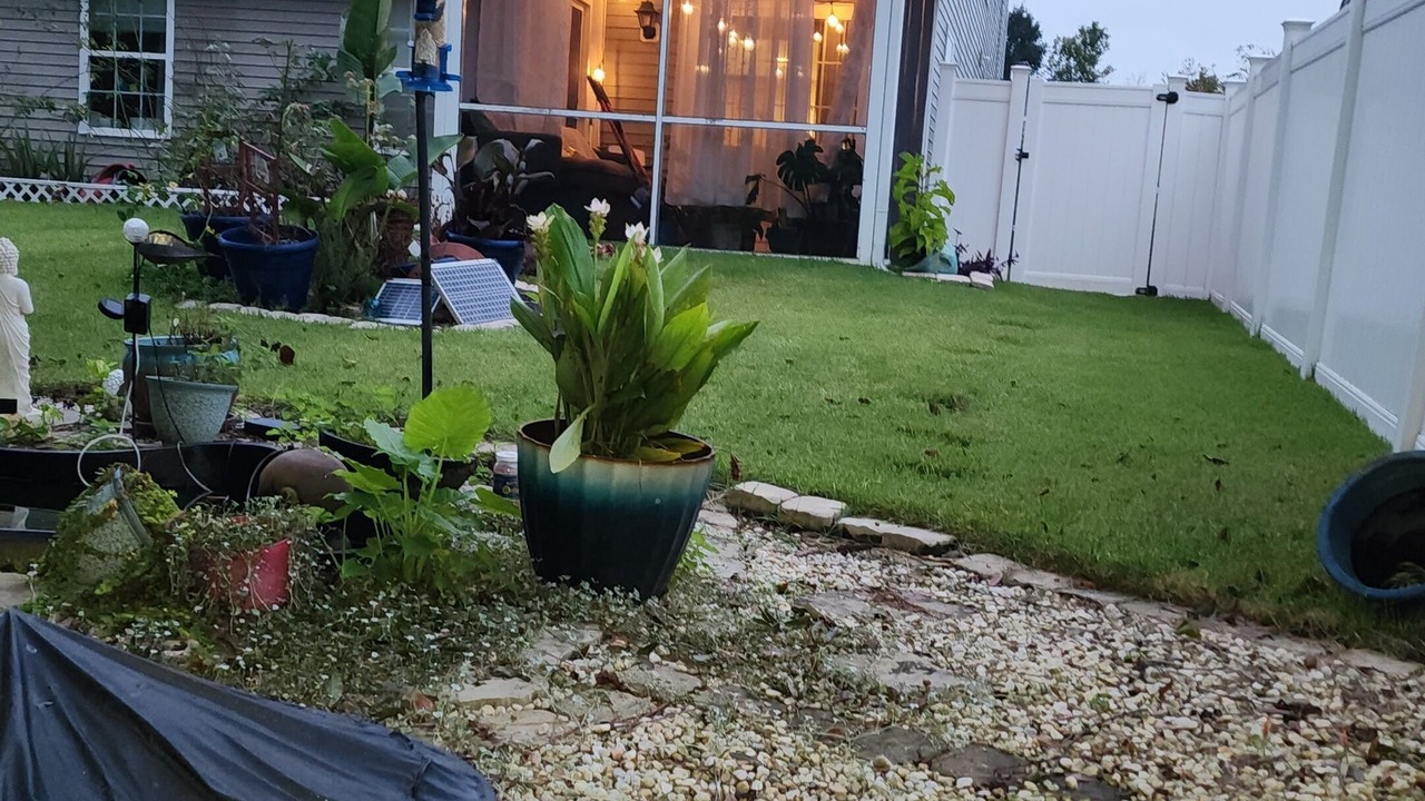 Photo of Outdoor in Pooler