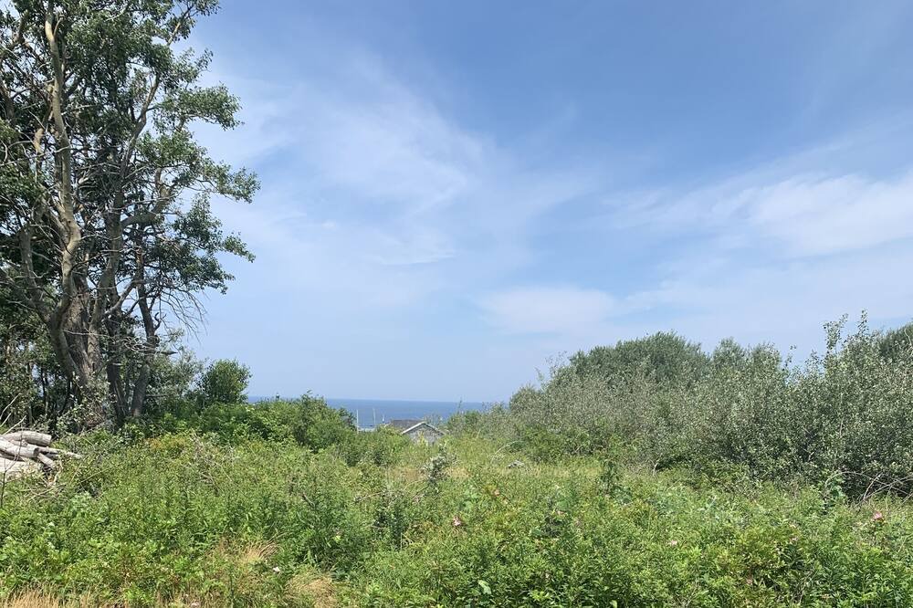 Photo of Outdoor in Inverness