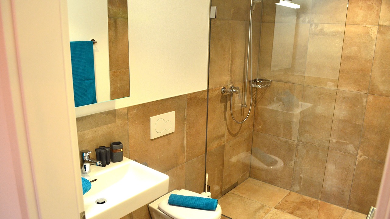 Photo of Bathroom in Thun