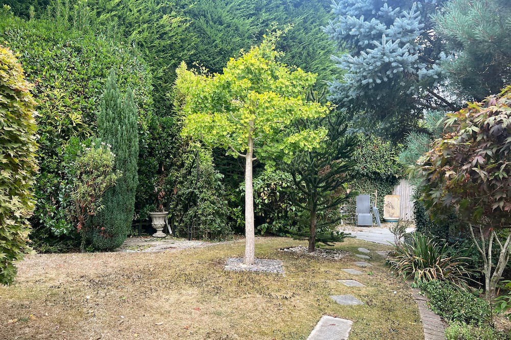 Photo of Outdoor in Sedlescombe