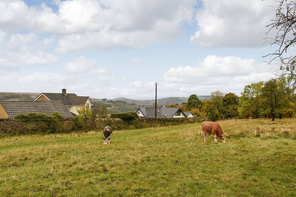 Photo of Others in Inchbrook