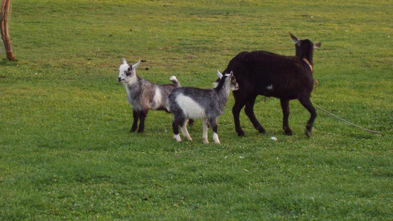 Photo of Others in Ciudad Rodrigo