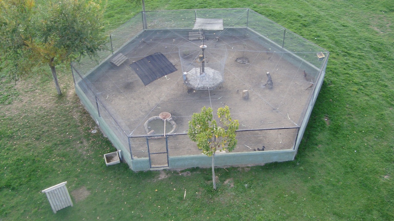 Photo of Outdoor in Ciudad Rodrigo
