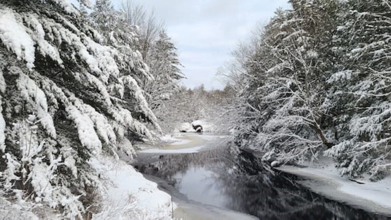 Photo of Others in Gravenhurst