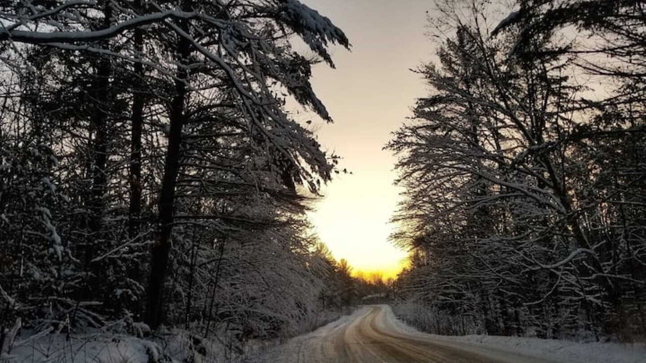 Photo of Others in Gravenhurst