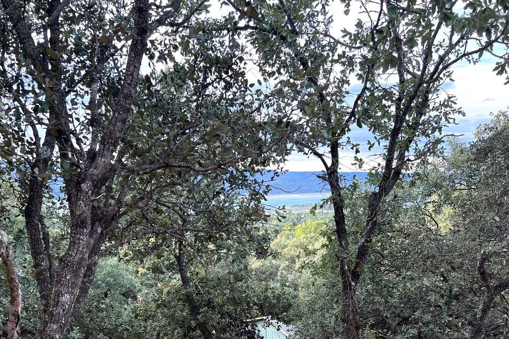 Photo of Outdoor in Pareja
