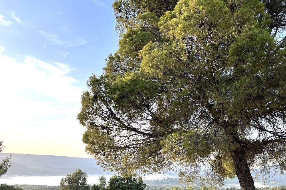 Photo of Outdoor in Pareja
