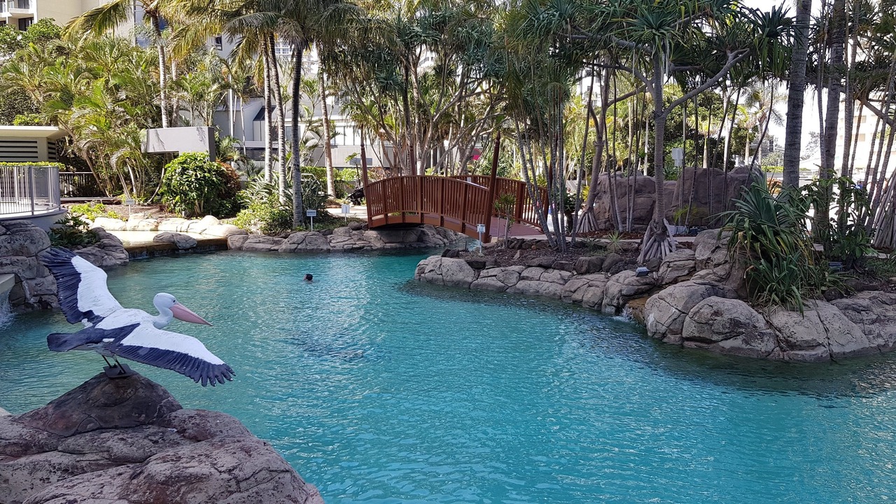 Photo of Outdoor in Surfers Paradise