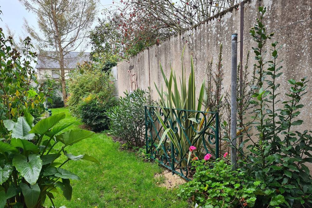 Photo of Outdoor in Meung-sur-Loire