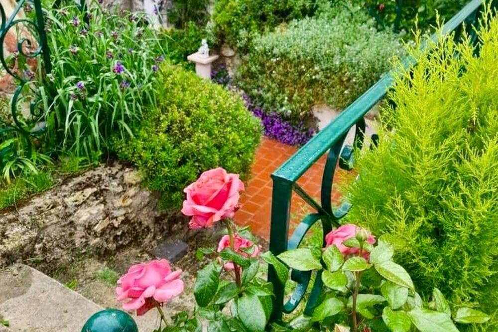 Photo of Outdoor in Meung-sur-Loire