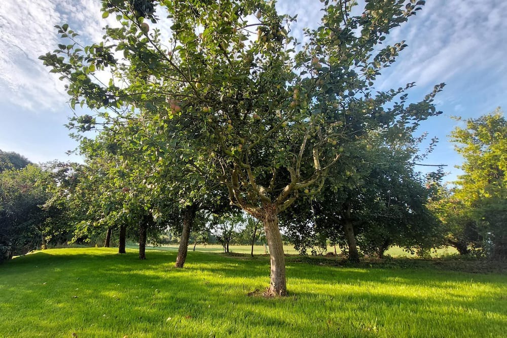 Photo of Outdoor in Plouagat