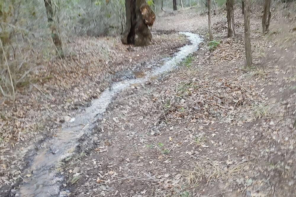 Photo of Outdoor in Smithville