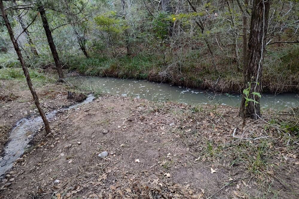 Photo of Others in Smithville