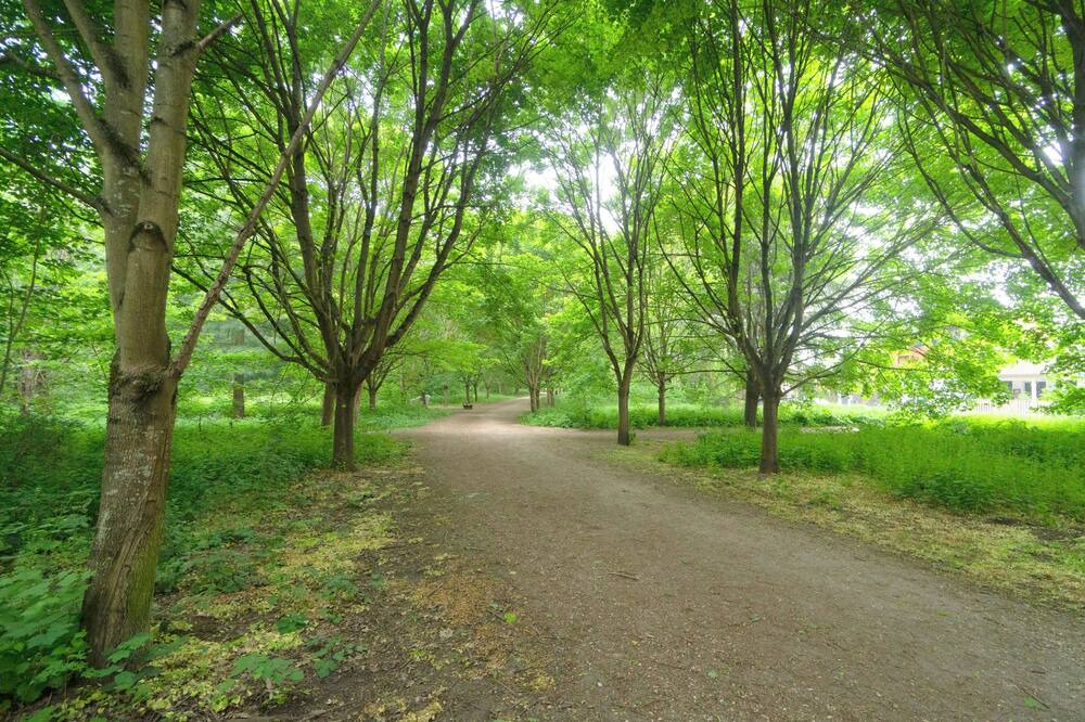 Photo of Outdoor in Clamart