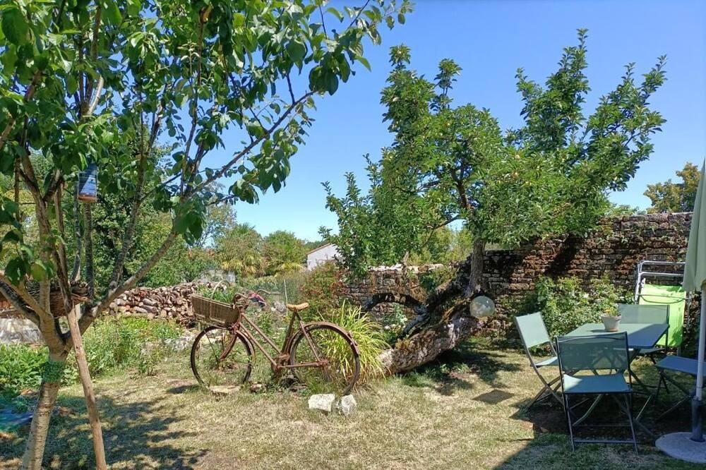 Photo of Outdoor in Saint-Juire-Champgillon