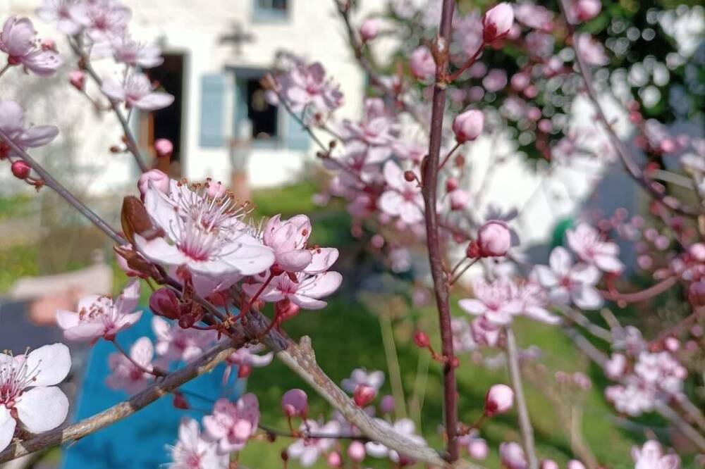 Photo of Outdoor in Saint-Juire-Champgillon