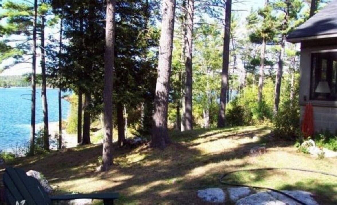Photo of Outdoor in Lyndhurst
