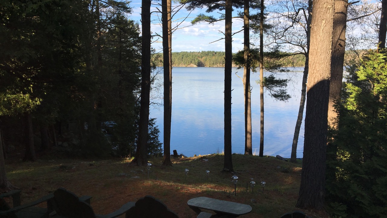 Photo of Outdoor in Lyndhurst