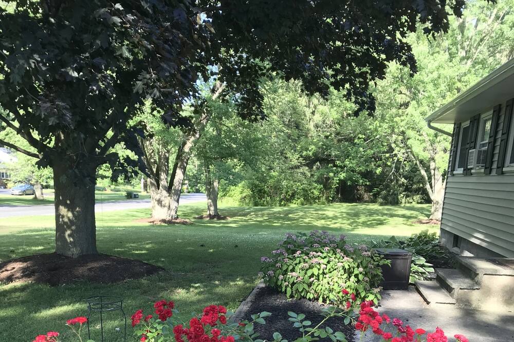 Photo of Outdoor in Waterloo
