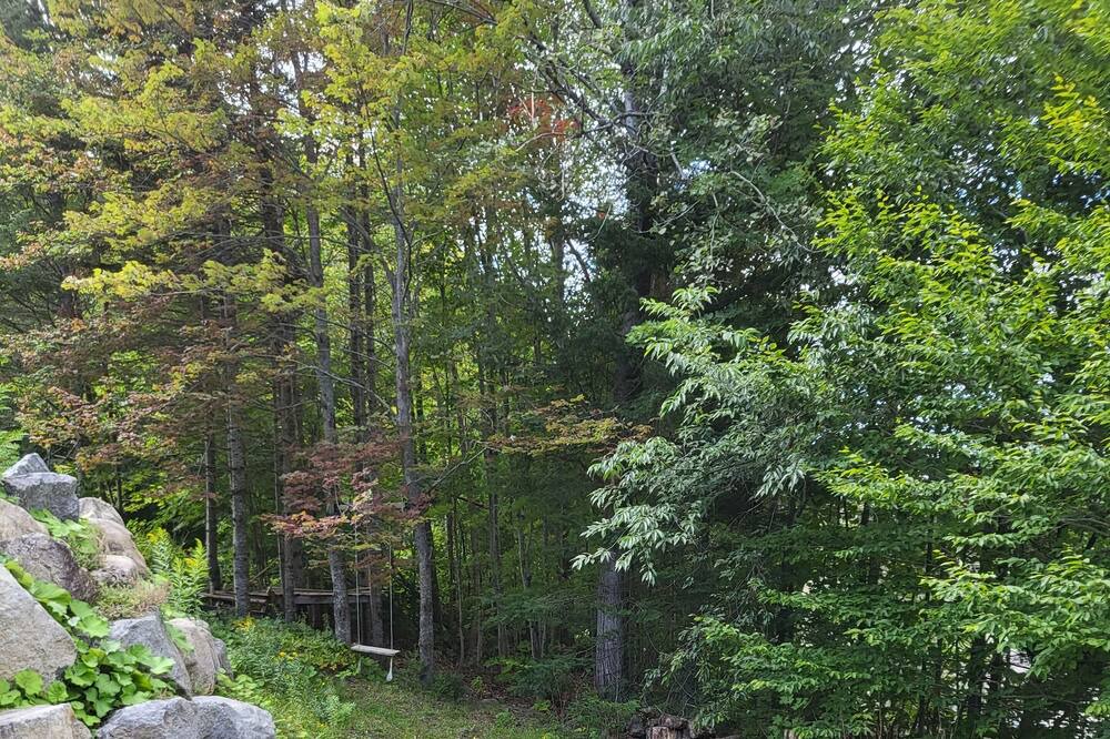 Photo of Outdoor in St-Adolphe-d'Howard