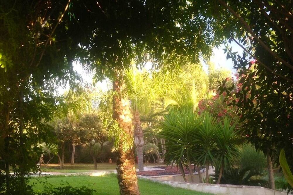 Photo of Outdoor in Cabestany