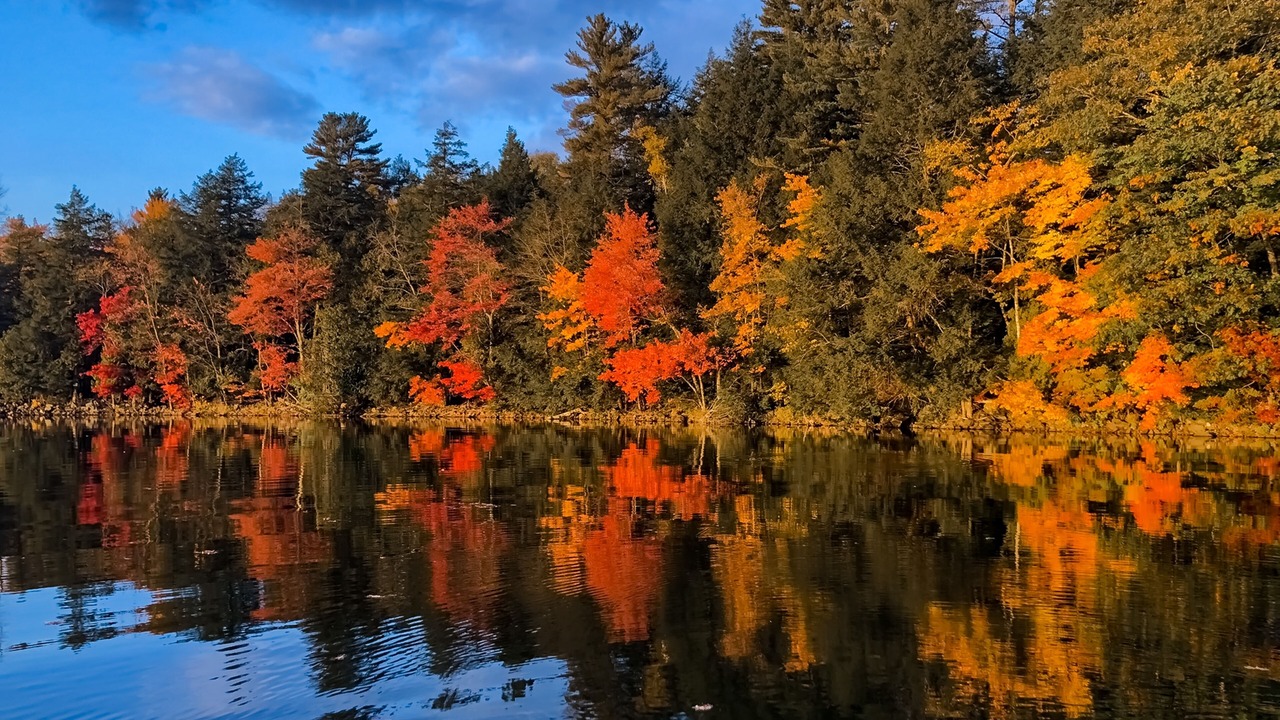 Photo of Others in South China