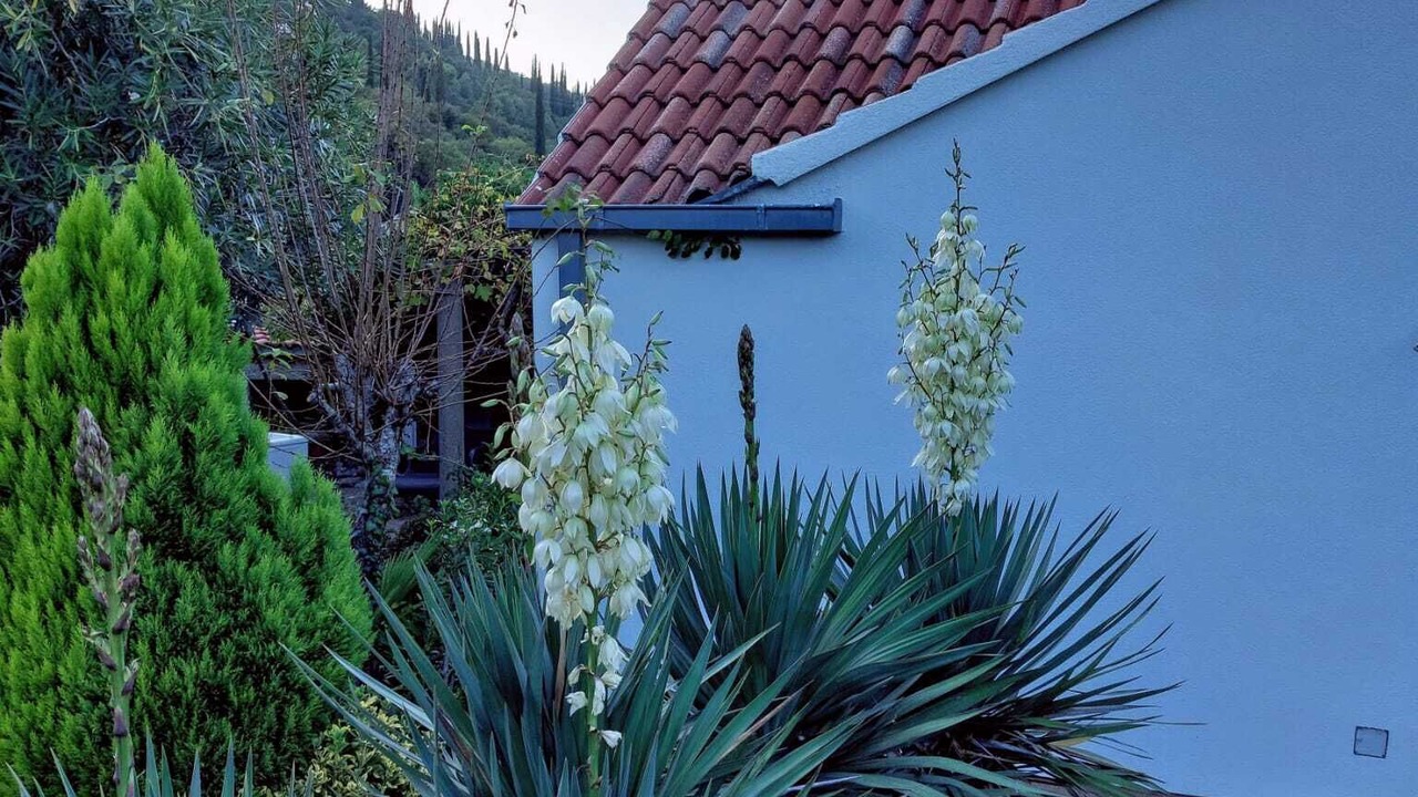 Photo of Outdoor in Konavle