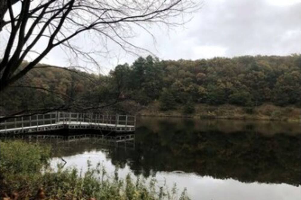 Photo of Outdoor in Maysville