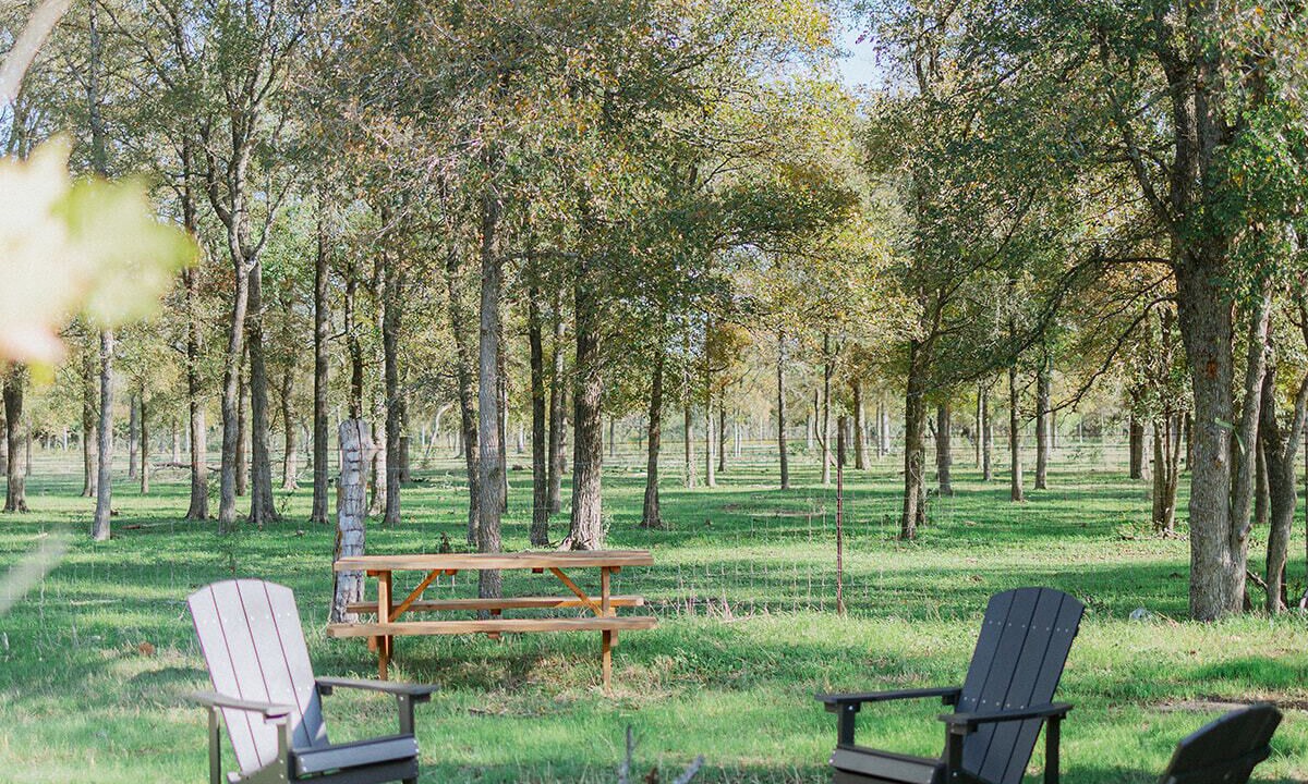 Photo of Outdoor in Manor