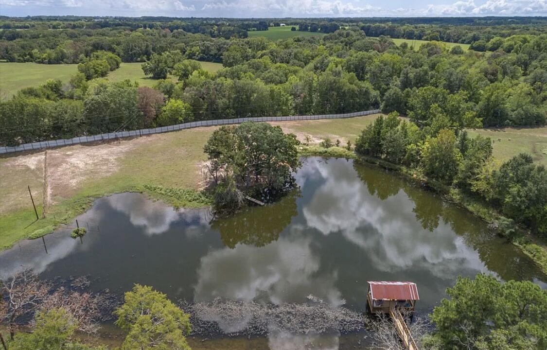 Photo of Outdoor in Van Zandt County