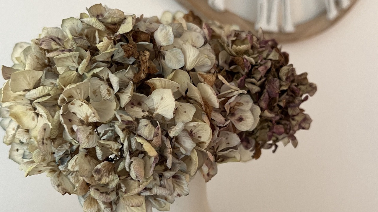 Photo of Others in Saint-Marine