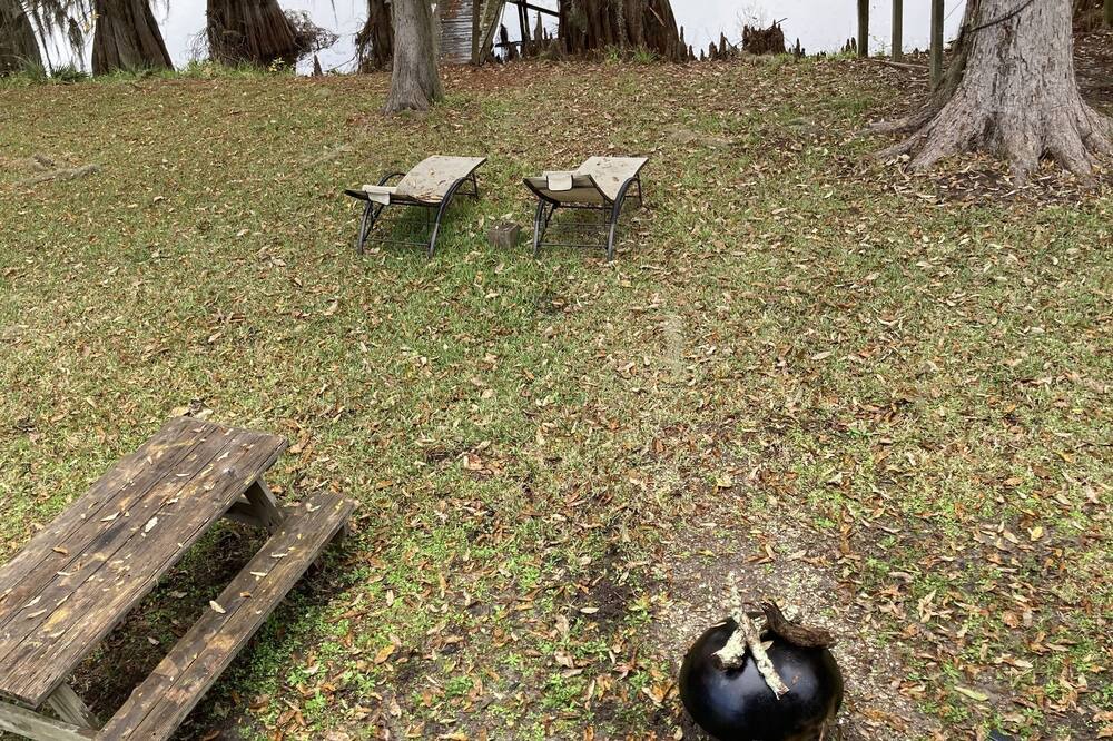 Photo of Outdoor in Votaw