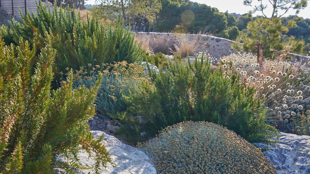 Photo of Outdoor in Narbonne
