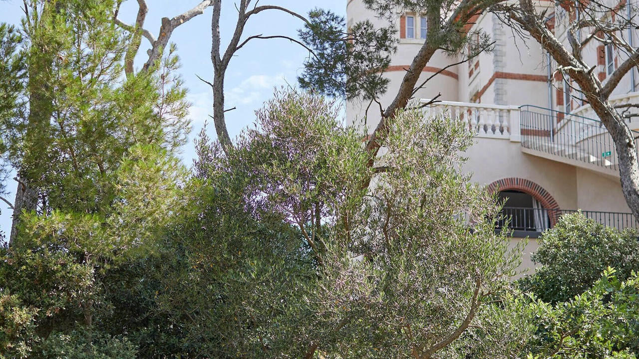Photo of Outdoor in Narbonne