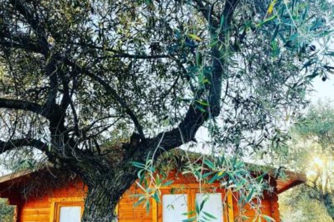Photo of Outdoor in Escalona