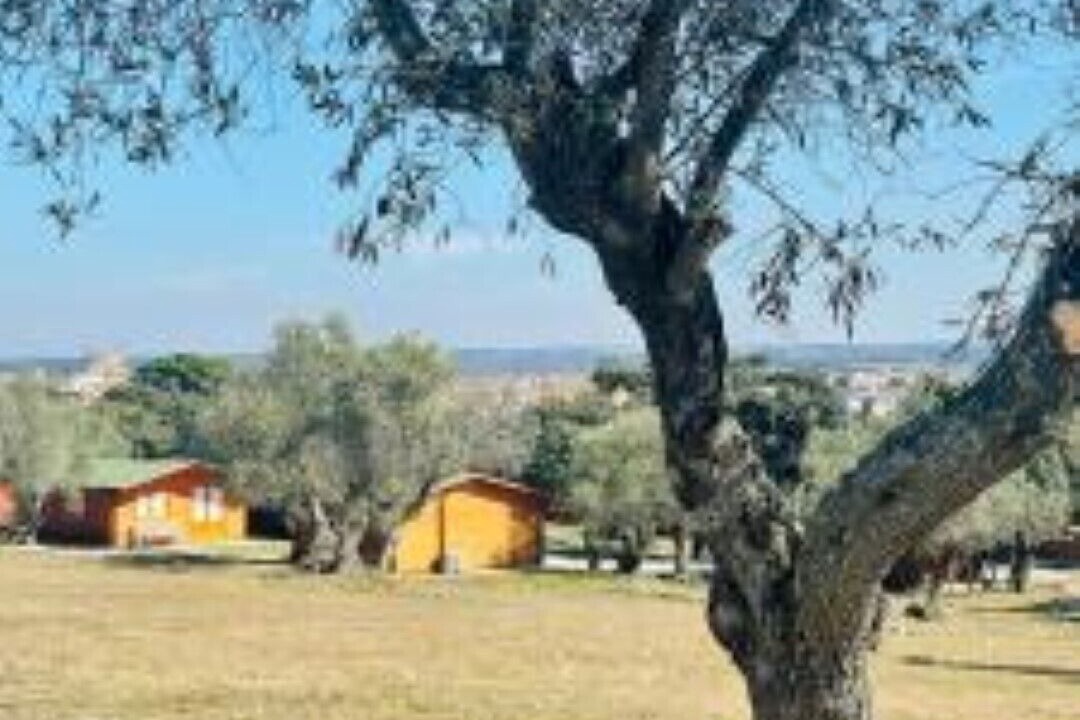 Photo of Outdoor in Escalona
